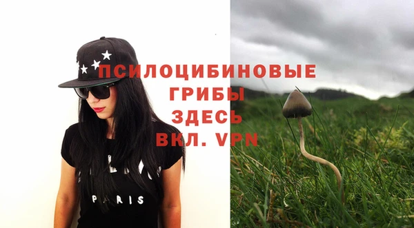 MESCALINE Аркадак