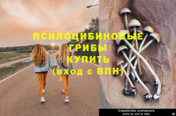 кокс Арсеньев