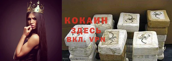 кокс Арсеньев