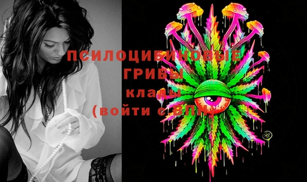 тгк Армянск