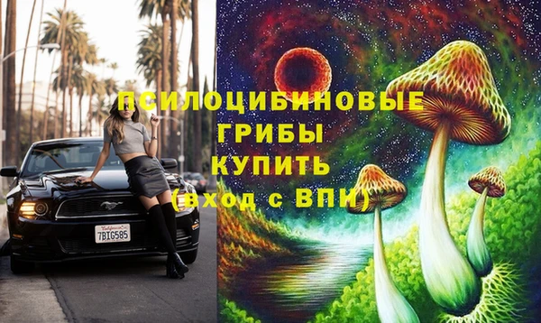 кокс Арсеньев