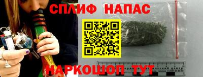 PSILOCYBIN Будённовск