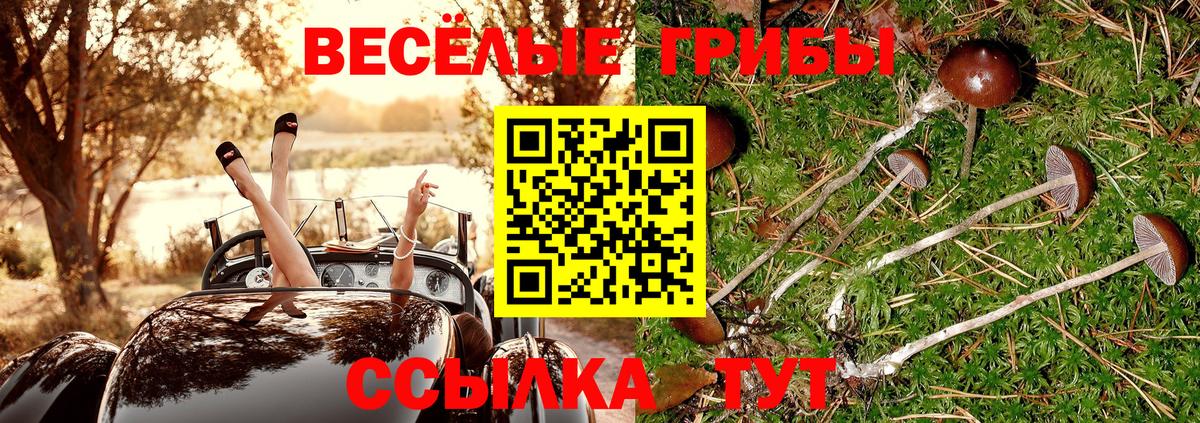 Ахтубинск  Псилоцибиновые грибы Psilocybine cubensis  Галлюциногенные грибы Psilocybe  Вход с VPN 
