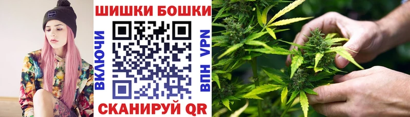где продают наркотики дарк нет официальный сайт Бошки марихуана конопля Ахтубинск